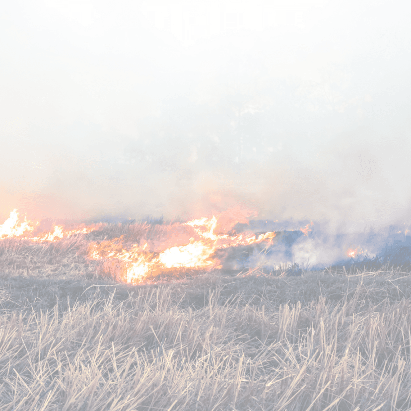 Verbrennungschirurgie im Einsatz